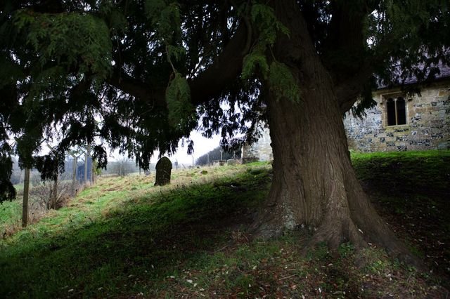imber_11_003.jpg