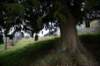 imber_11_003_small.jpg