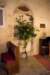 imber_11_012_small.jpg