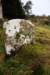 imber_11_043_small.jpg