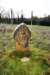 imber_11_055_small.jpg