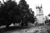 imber_11_057a_small.jpg