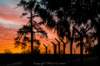 imber_jan1414_small.jpg