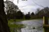 afloodedfieldatimber_small.jpg